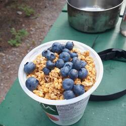 Zmorge in Elkford, mit canadian blueberries