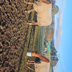 Billy & Diego (pleins de boue 😒)