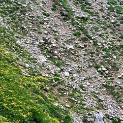 Peut-être le coupable