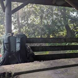 A calm relaxing atmosphere in the morning with birds singing