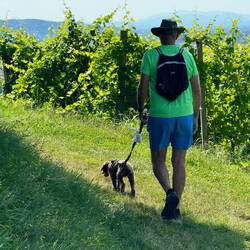 We hiked in grass, rocks, muddy trails and gravel