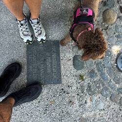 Marker with all feet or paws in!