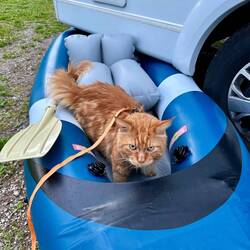 Da hat sich jemand eingeschlichen 😅