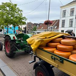 Der Käse wird von den nahegelegenen Bauernhöfen nach Gouda geliefert
