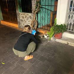 Lisa muss gefühlt jede Katze (und jedes andere Tier) fotografieren.