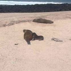 Wie süß kann man sein!?