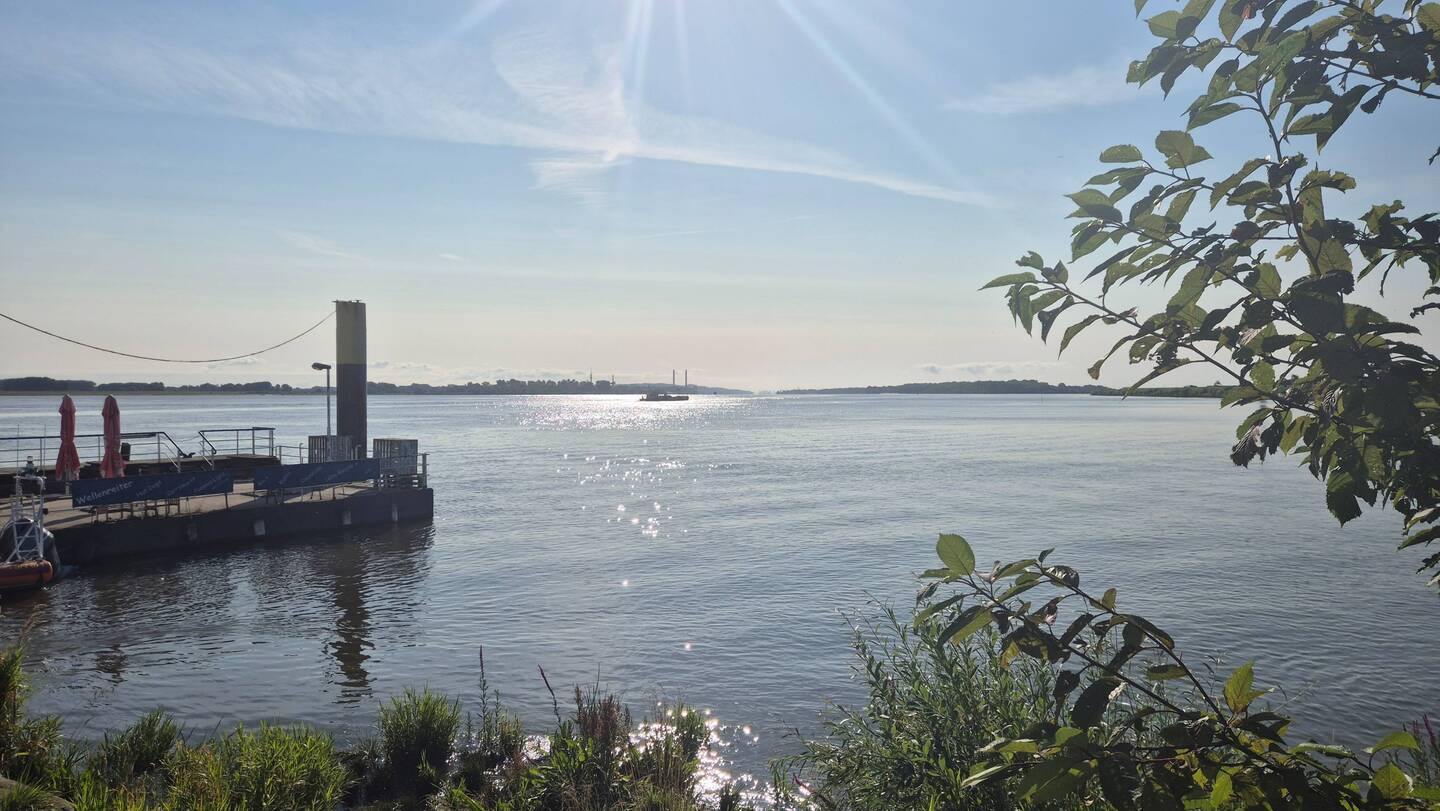 ELBE