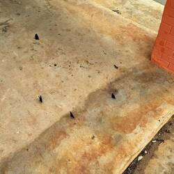 Nationalpark Kaeng Krachan