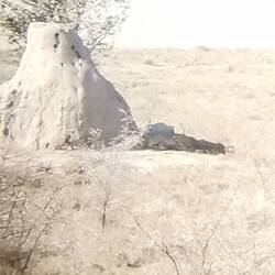 Sieht man zwar nicht, aber da rechts sind zwei Geparden!