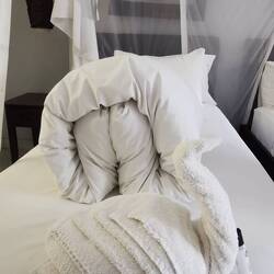 Und Handtuchschwan 😂