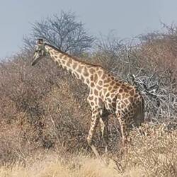 Diese Ruhe! Da sollte man sich eine Scheibe von abschneiden 🙏