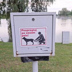 Hier reinigt der Diener den Hundepopo?!