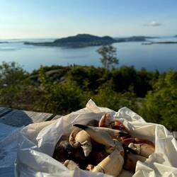Abendessen a la Ålesund