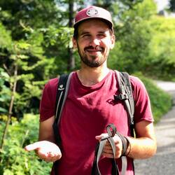 Martin wie immer auf Beerensuche. Himbeeren, Walderdbeeren und heute sogar auch Blaubeeren gesammelt
