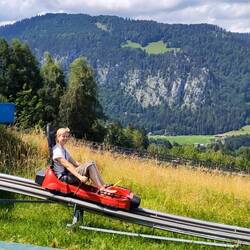 Sommerrodeln - das hat Spaß gemacht!