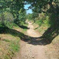 Die letzten Kilometer fühlen sich wie immer etwas länger an...