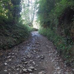 Der Weg ist steil, aber meine Beine sind mittlerweile merklich stärker.