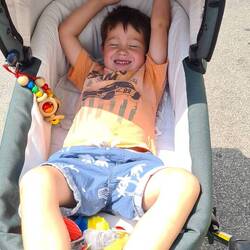 Milo kann nicht mehr laufen