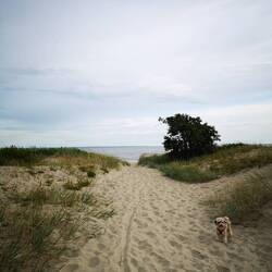 At Pärnu's Ladies Beach