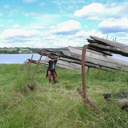 The sunken boats have trapped silt and raised the level of the bank