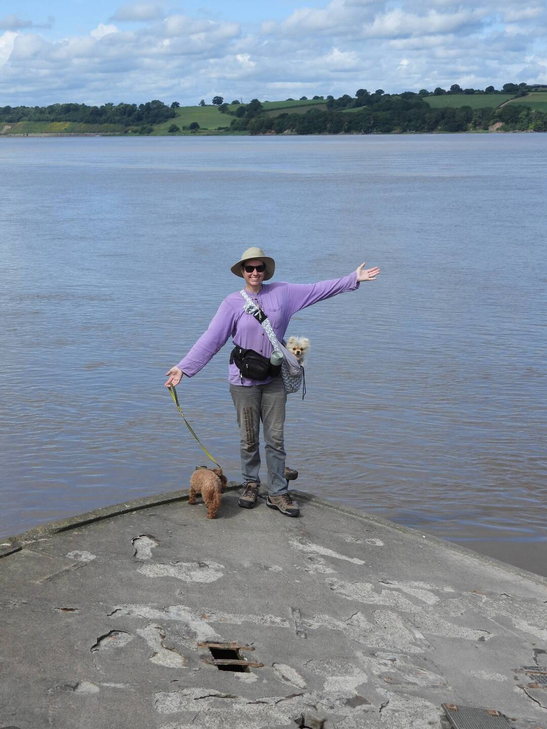 The prow of a sunken barge at Purton Ships Graveyard