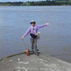 The prow of a sunken barge at Purton Ships Graveyard