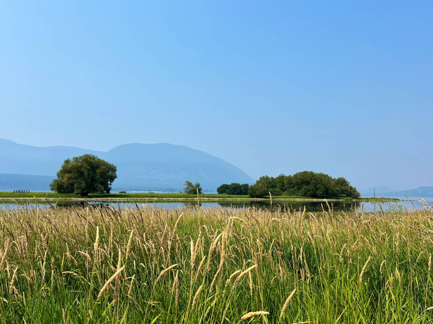 Salmon Arm