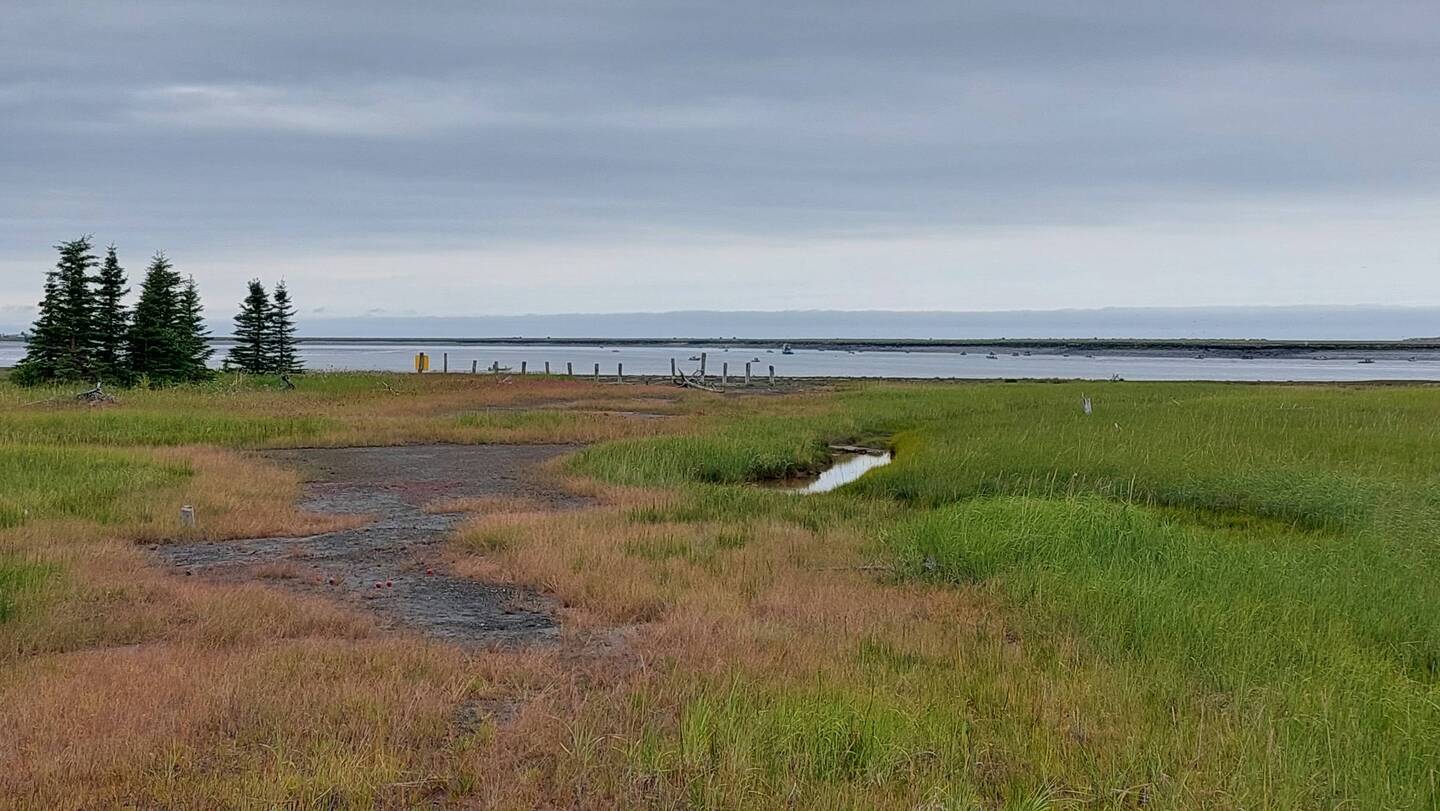 Kenai River Flats