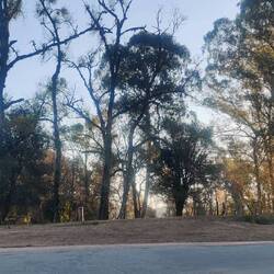 Bosque de la Memoria
