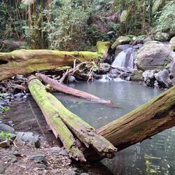 Christmas Creek- one of many swimming holes along its length