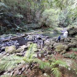 First of many waterfalls ansmd swimming holes