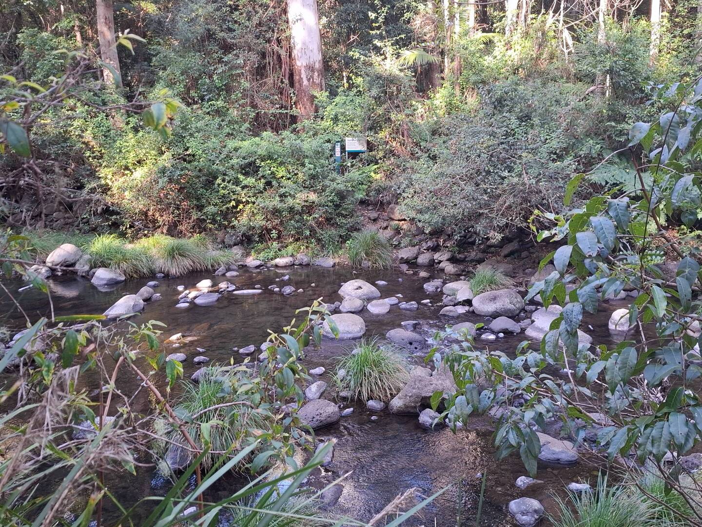 First Creek crossing into Lamington NP and Larapinta Falls walk