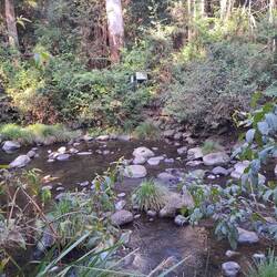 First Creek crossing into Lamington NP and Larapinta Falls walk