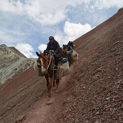 Fürs nächste Basecamp kann man sei Gepäck transportieren lassen