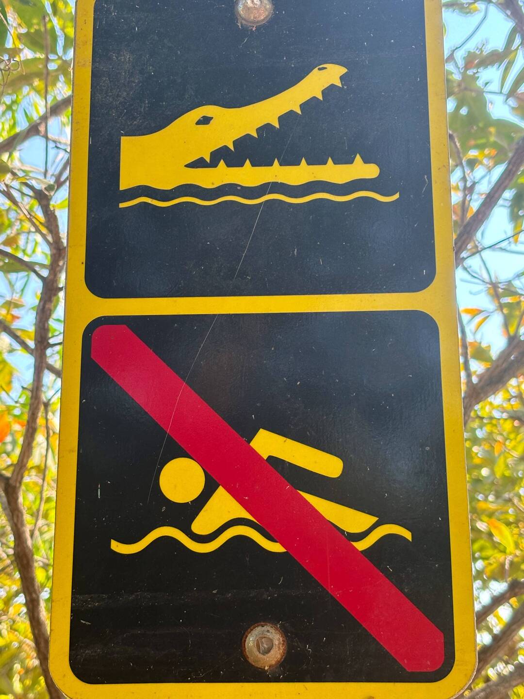 Yikes. At this point we've seen only freshwater crocs. But wait...