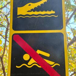 Yikes. At this point we've seen only freshwater crocs. But wait...