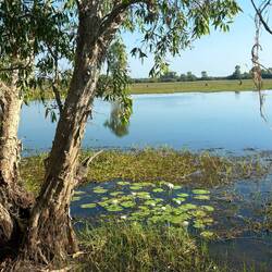 This is the glossy magazine idea of Kakadu we had in our minds!