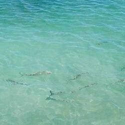 L'acqua cristallina