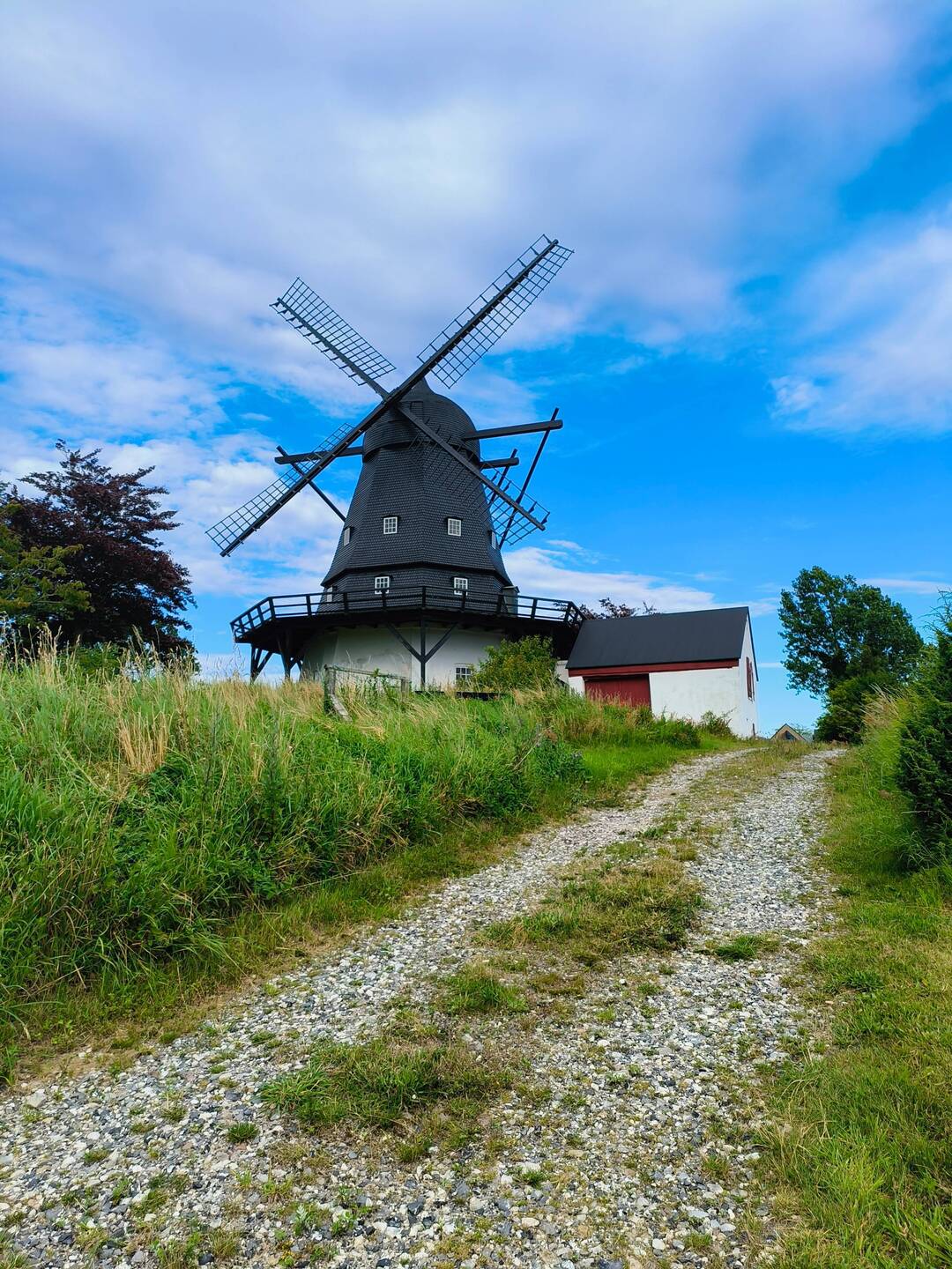 The Mill