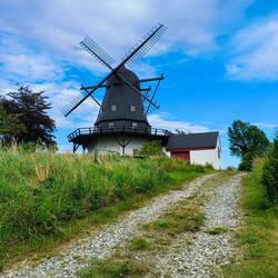 The Mill