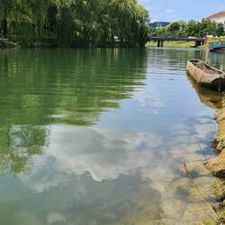 Fluss Ljubljanica