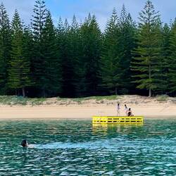 Swimmers at Emily Bay