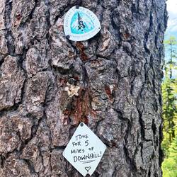Motivation auf dem Trail