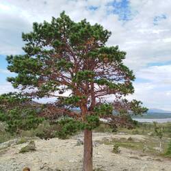 Alleine und doch nicht einsam.