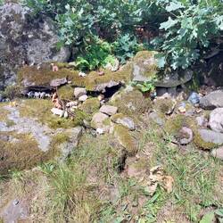 Unterwegs trafen wir die Trollfarm