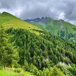 Einige Höhenmeter weiter oben, gleich bei der Schmiedleralm..