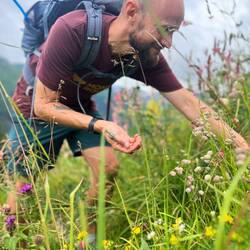 Deutlich wohlschmeckender hingegen..