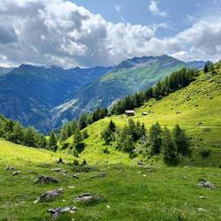 Nach ausführlichem Studium legen wir noch..