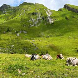 Wiederum andere wollen einfach nur ihre Ruhe genießen, weshalb..