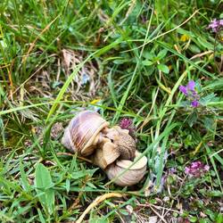 ..spannende Aktivitäten beobachten 🕵🏻‍♂️